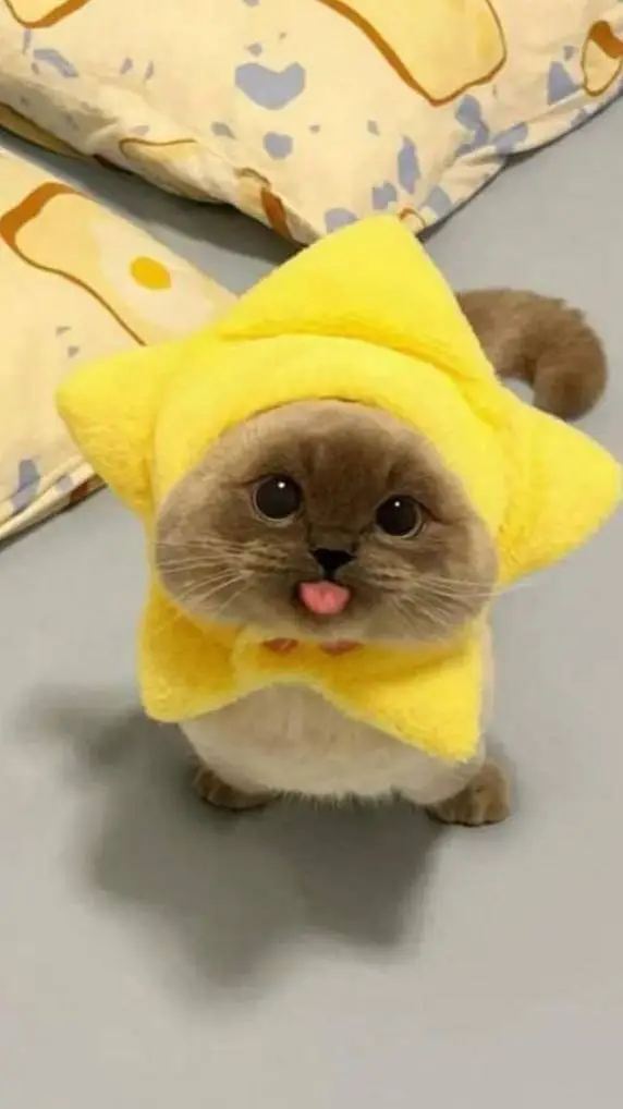 ai character: A Z U R E T I M E😝 background