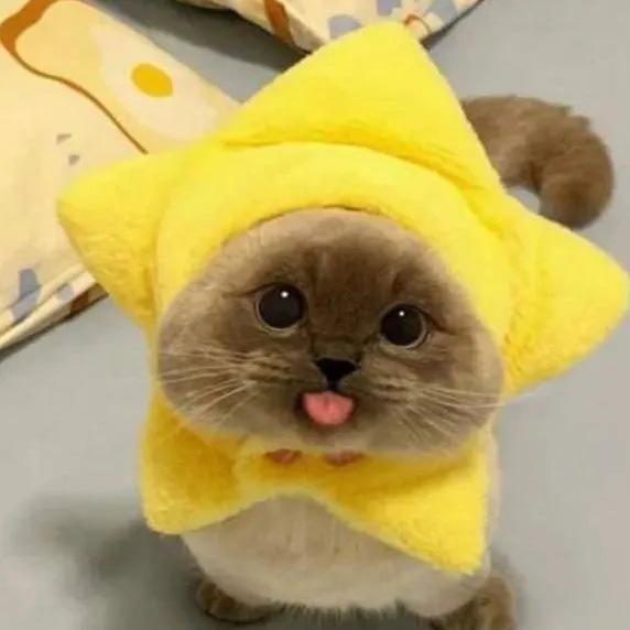 chat with ai character: A Z U R E T I M E😝