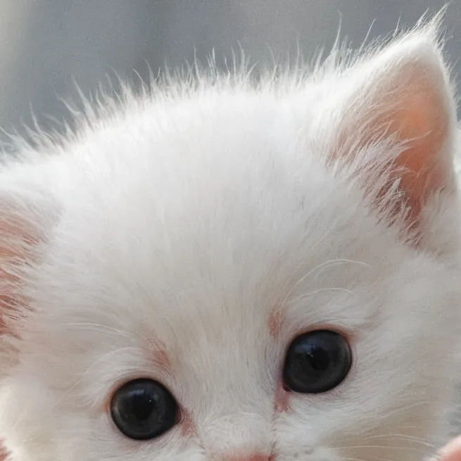 chat with ai character: Cutie