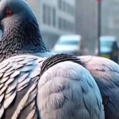 chat with ai character: Pigeon