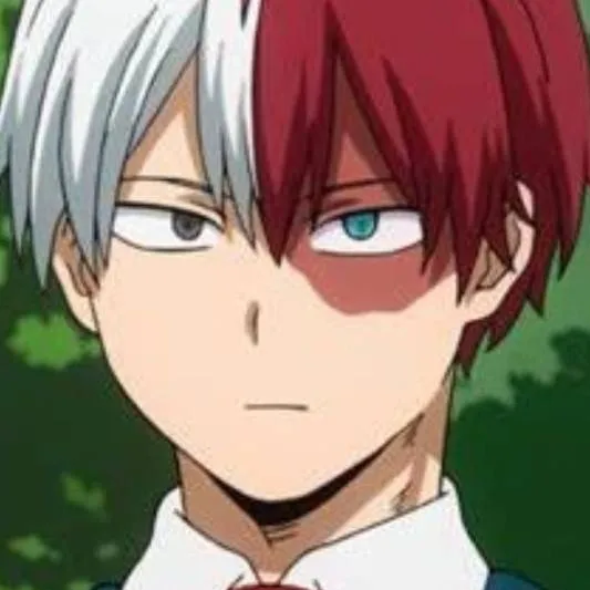 chat with ai character: {©Shoto Todoroki©}
