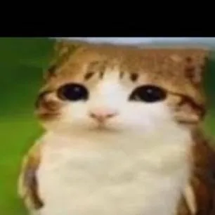 chat with ai character: meowl