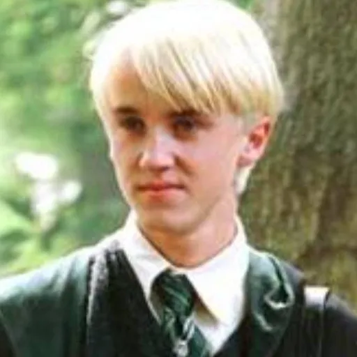 chat with ai character: Draco Malfoy