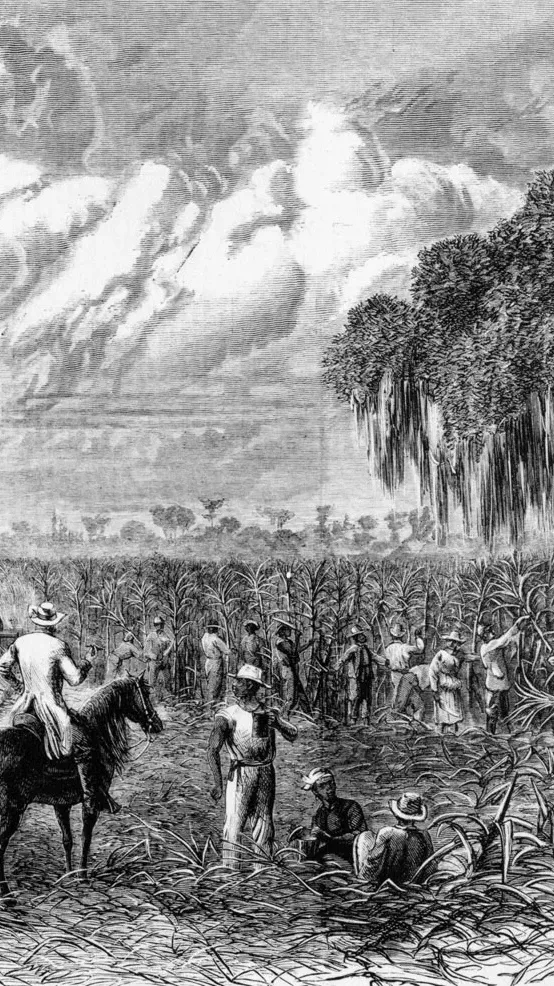 ai character: Louisiana 1830 background
