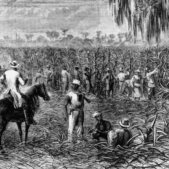 chat with ai character: Louisiana 1830