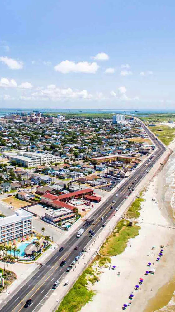 ai character: Field Trip XVII  background