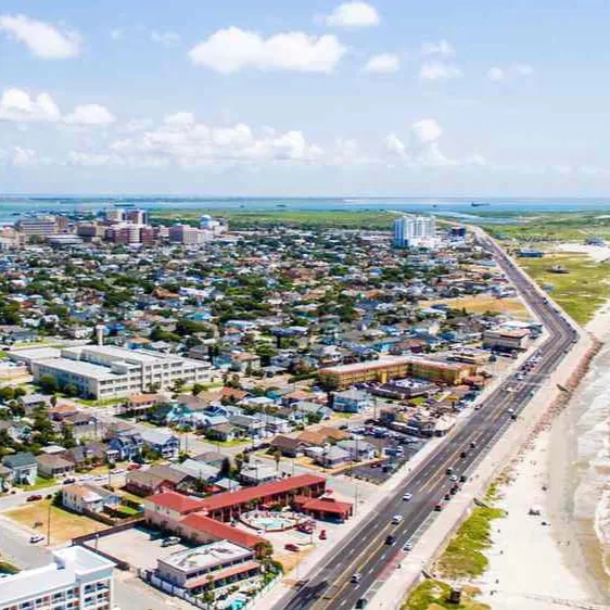 chat with ai character: Field Trip XVII 