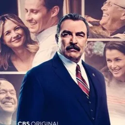 chat with ai character: Blue Bloods 