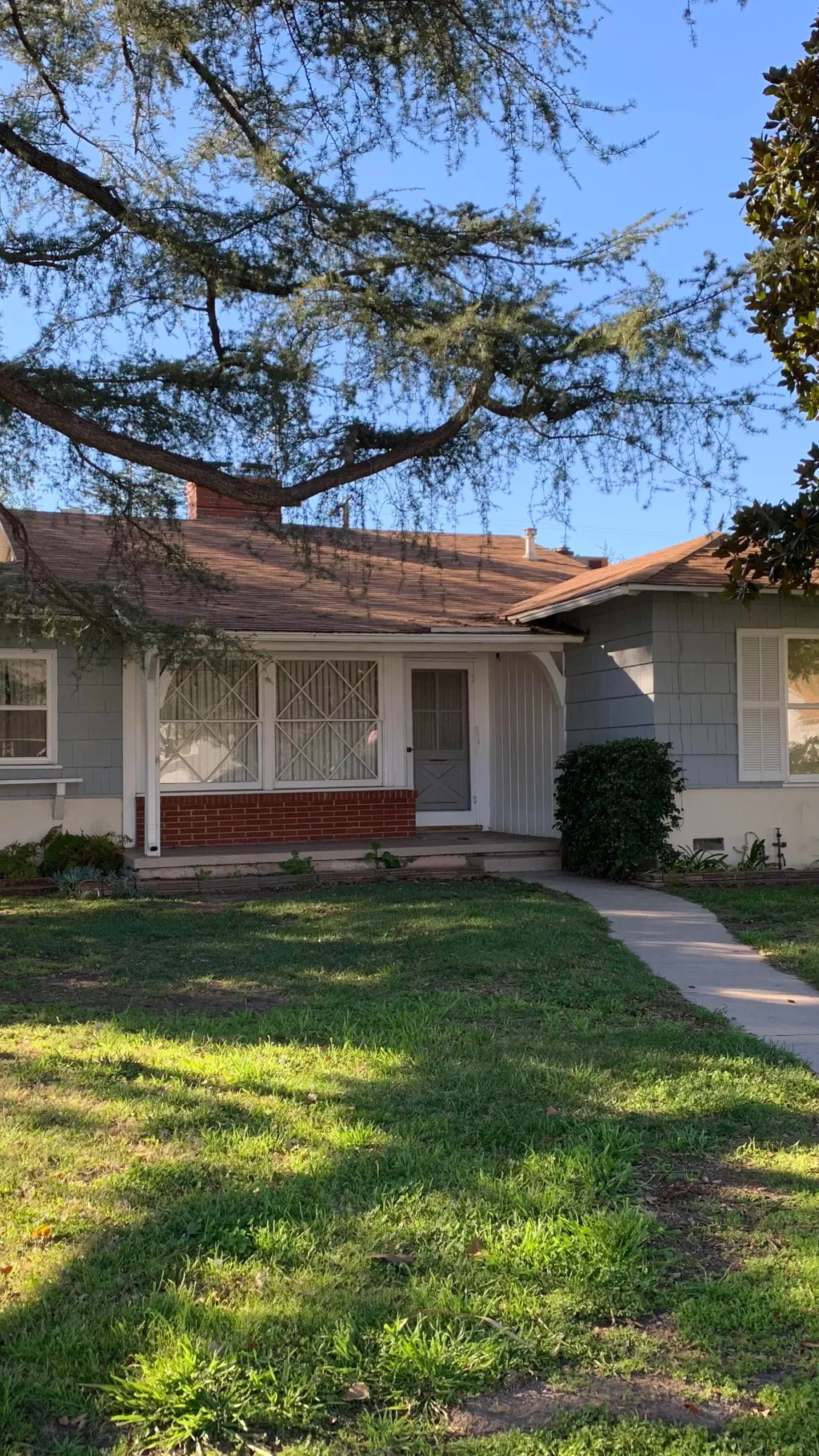 Talkie AI - Chat with Young Sheldon