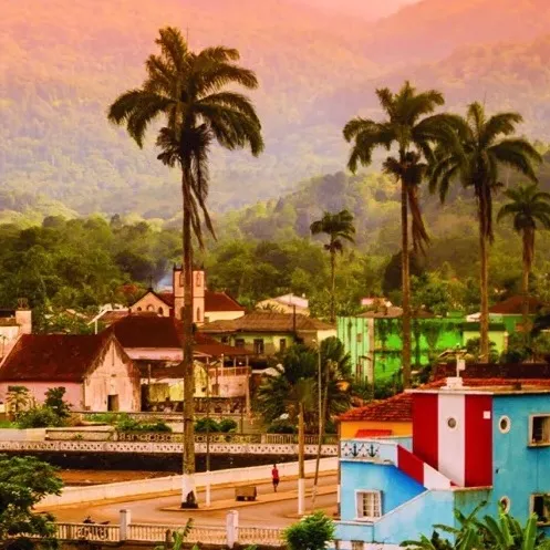 chat with ai character: Field Trip XVIIII