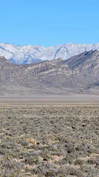 ai character: Area 51  background