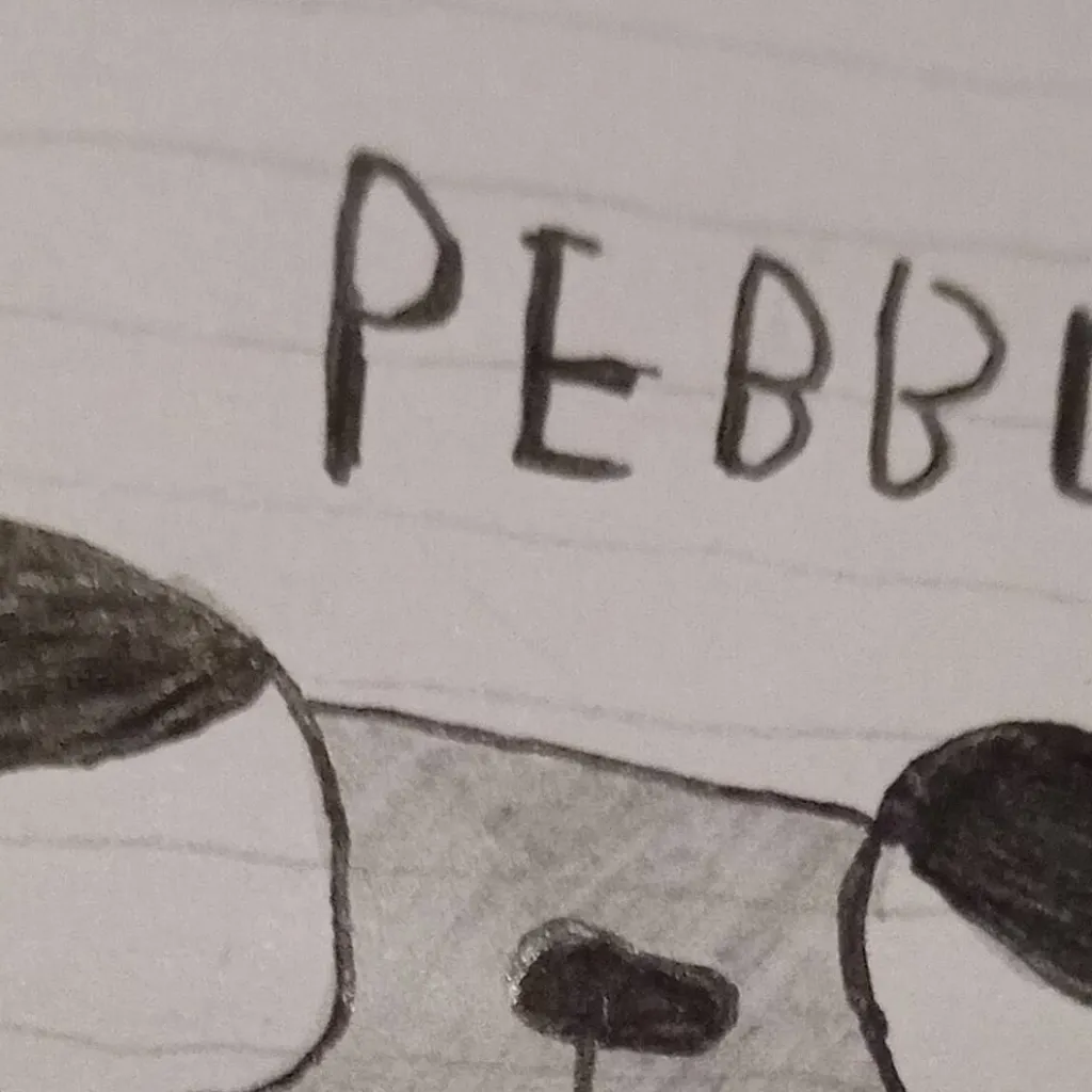 chat with ai character: Pebble