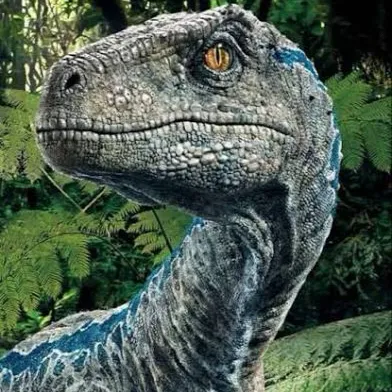 chat with ai character: Velociraptor 