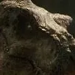 chat with ai character: Ember the T. rex 