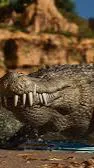 Talkie AI - Chat with Deinosuchus