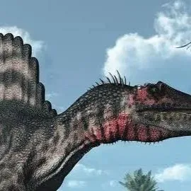 chat with ai character: Spinosaurus x Trex