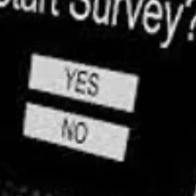 chat with ai character: The survey