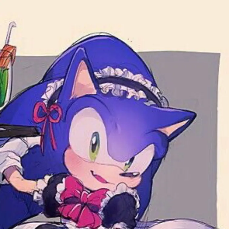 chat with ai character: Sonic maid