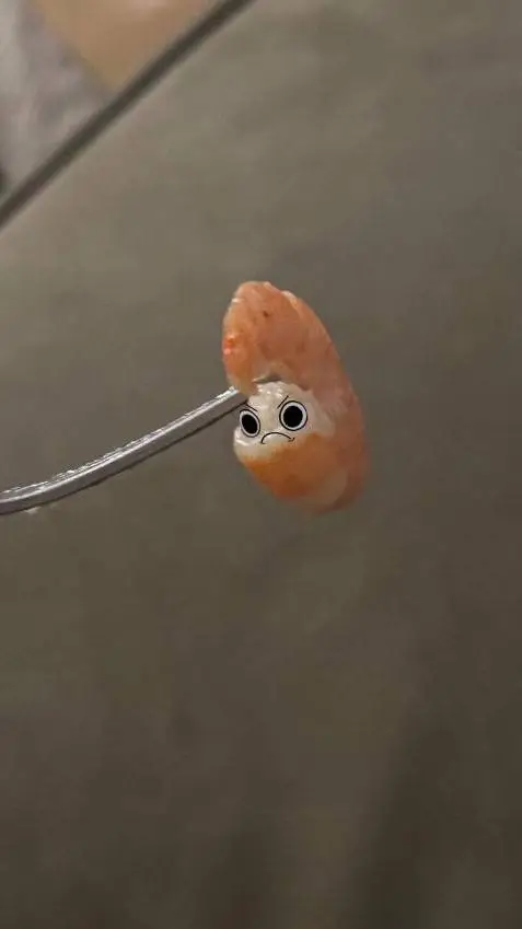 ai character: Shrimpo background