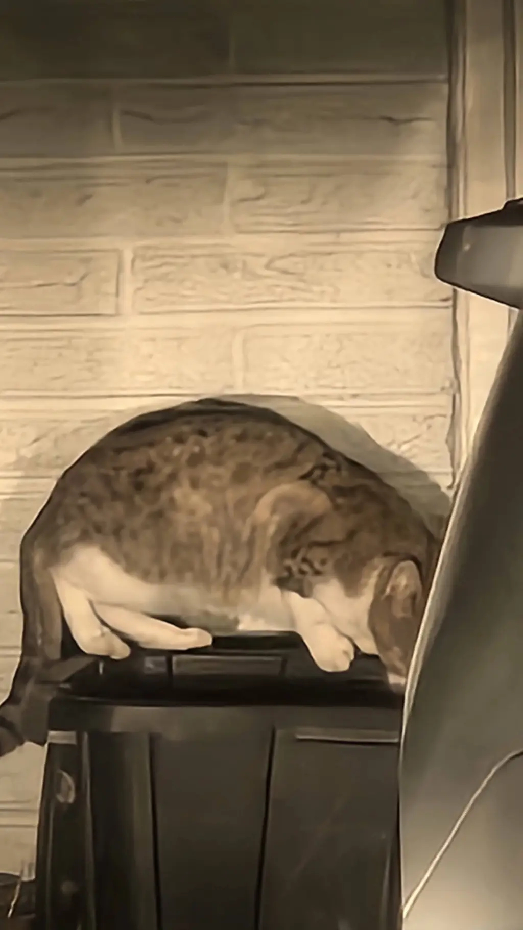 ai character: TommyInnit background