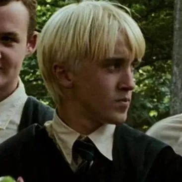 chat with ai character: slytherin boys 