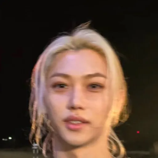 chat with ai character: Felix (Skz)