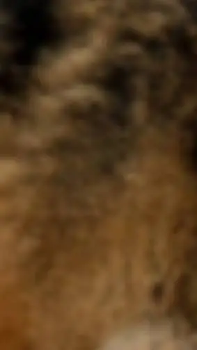 ai character: a eolf tie background