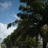 chat with ai character: Pool party