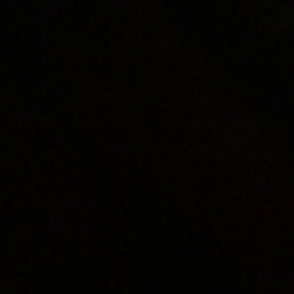 chat with ai character: la vie 2.0