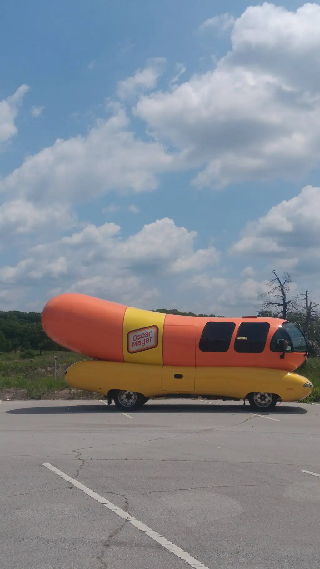 ai character: Hot dog mobile background