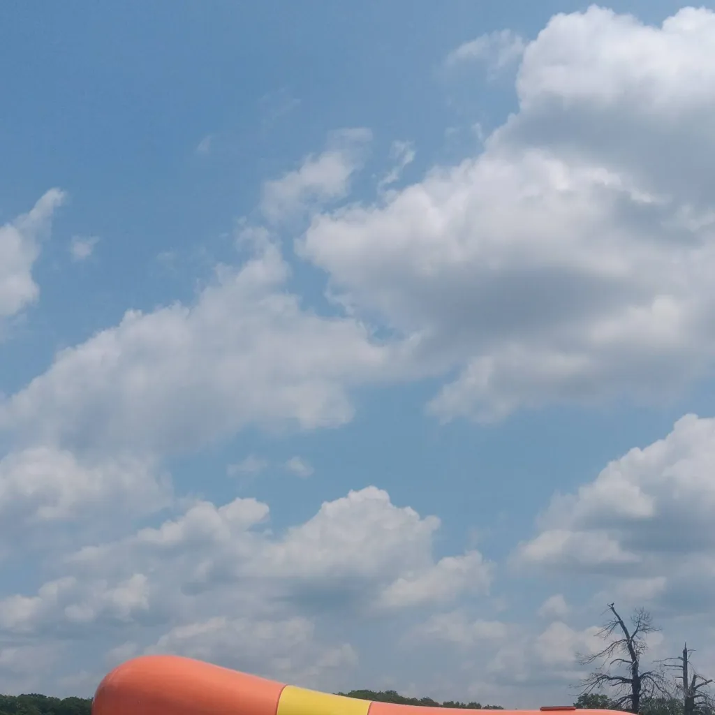 chat with ai character: Hot dog mobile