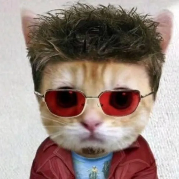 chat with ai character: RANDOM CHARACTER