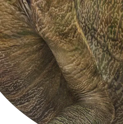 chat with ai character: So65my