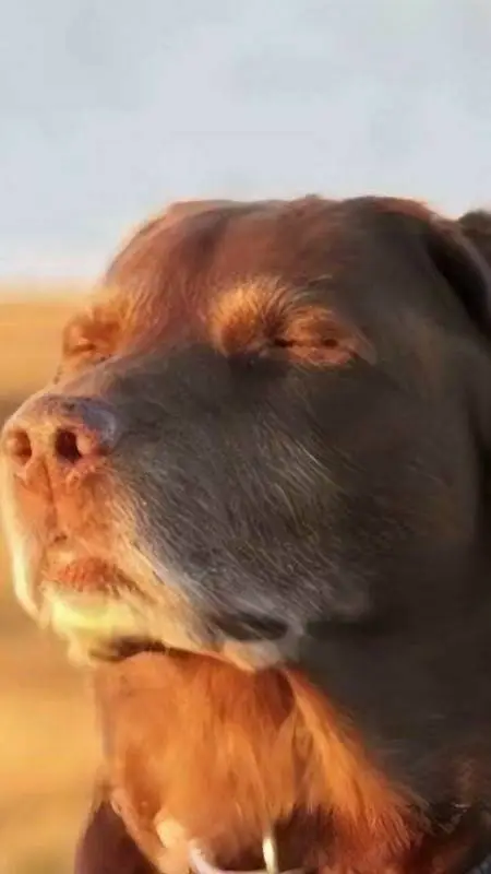 ai character: a normal mha day background