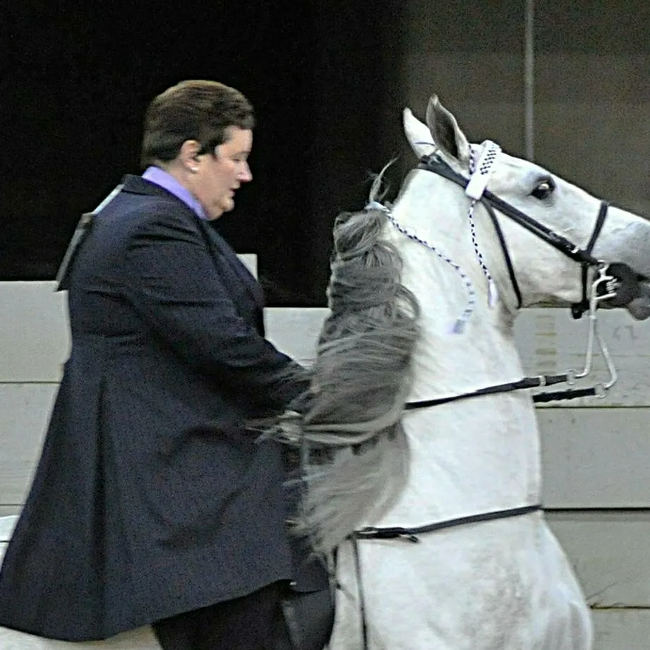 chat with ai character: ꪑꫝꪖ ꫝꪮꪹకꫀ ꪖꪉꪊకꫀ