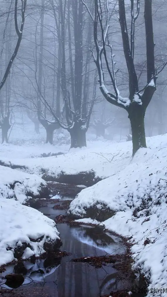 ai character: Snowdrop background