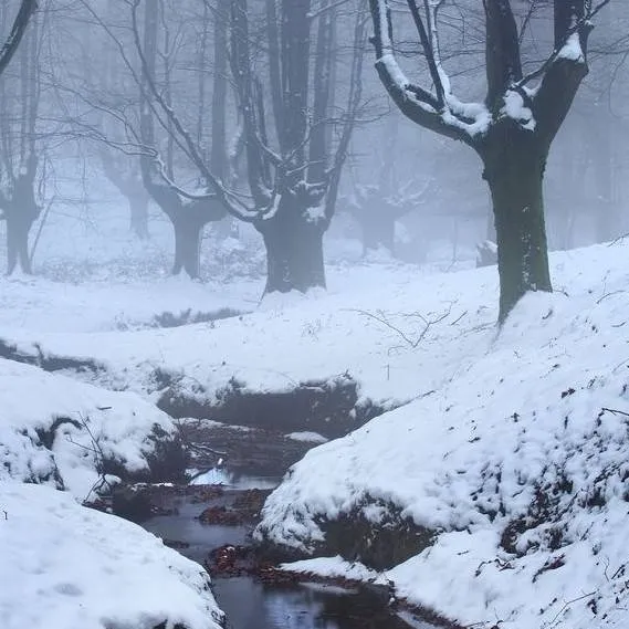 chat with ai character: Snowdrop