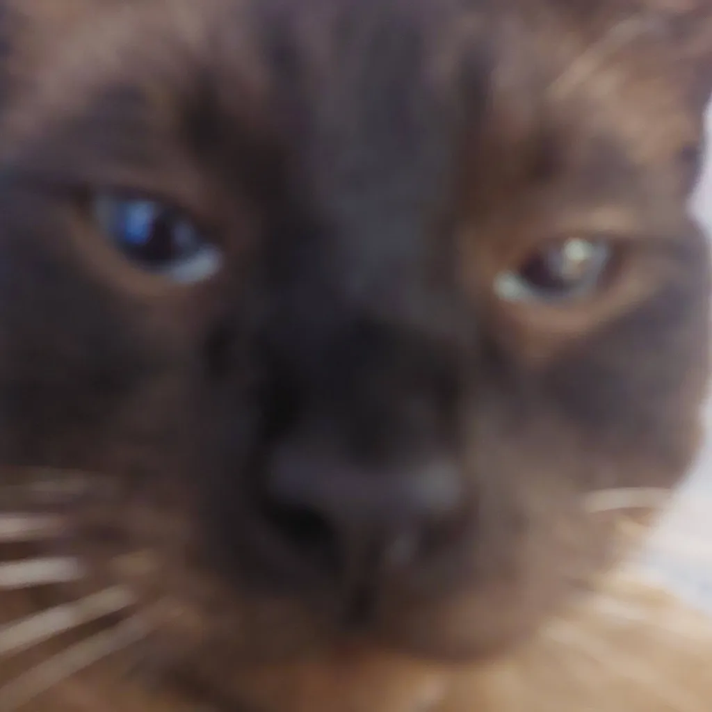 chat with ai character: 3rrørCøªd
