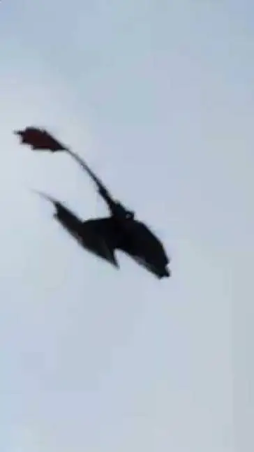 ai character: toothless (WW2) background