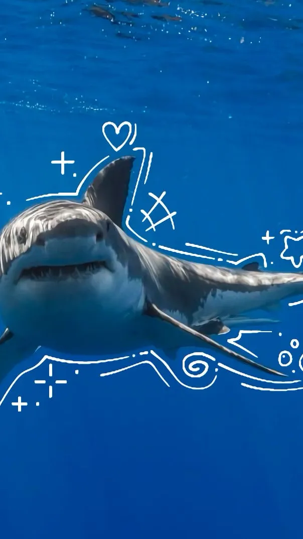 ai character: Mm2 again sadly background