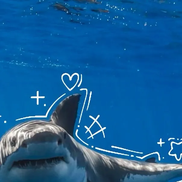 chat with ai character: Mm2 again sadly