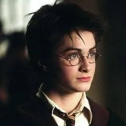 chat with ai character: Harry Potter