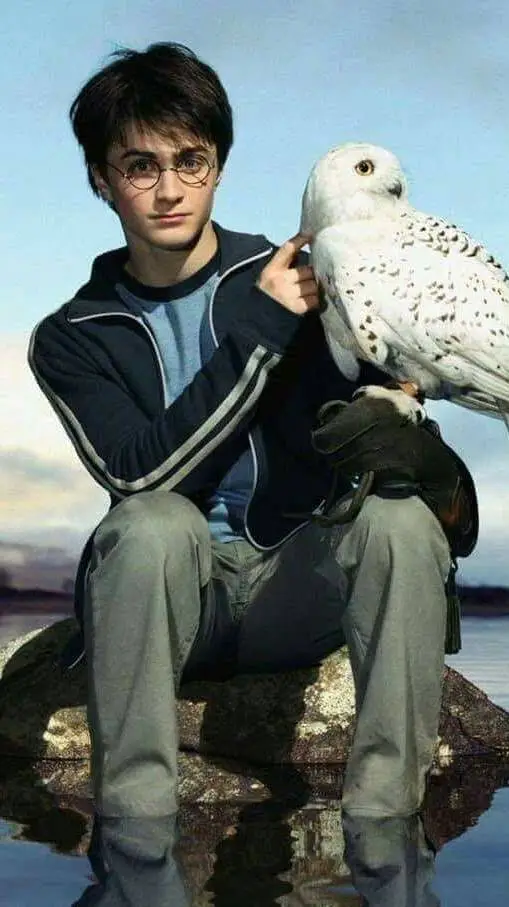 ai character: Harry Potter  background
