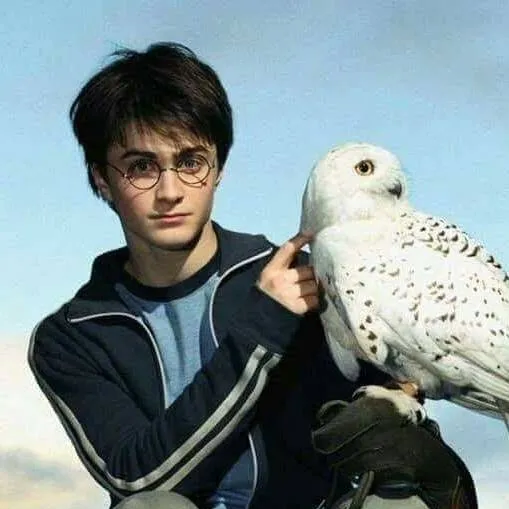 chat with ai character: Harry Potter 