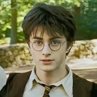 chat with ai character: Harry Potter 