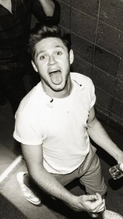 ai character: Niall horan x background