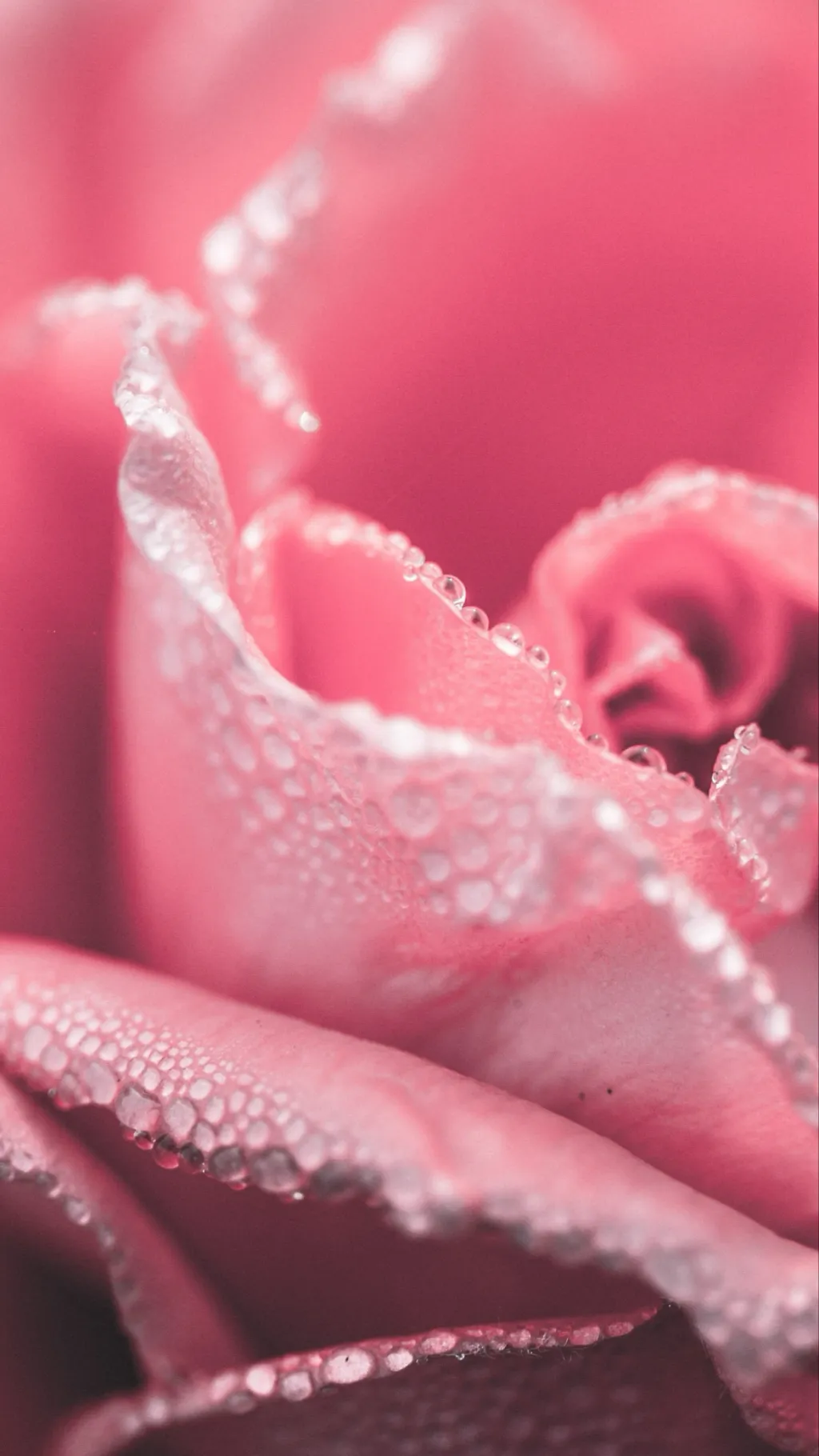 ai character: Worst Halloween  background