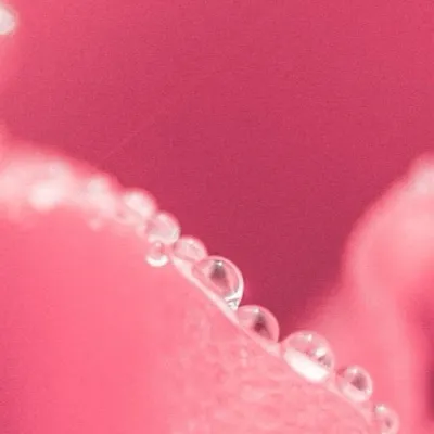 chat with ai character: Worst Halloween 