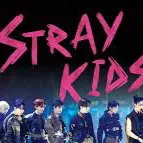 chat with ai character: 🩵Stray Kids 🩵