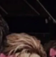 chat with ai character: 𝓔𝓷𝓱𝔂𝓹𝓮𝓷